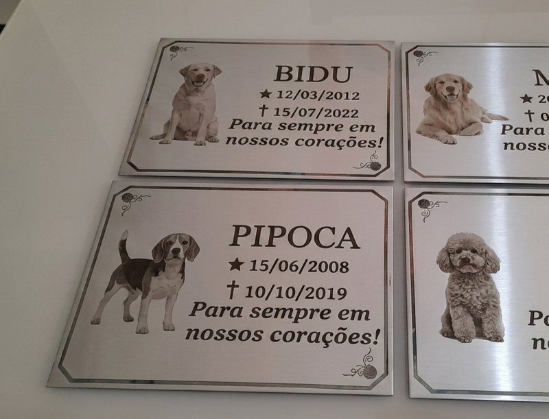 Trabalho realizado 4